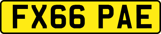 FX66PAE