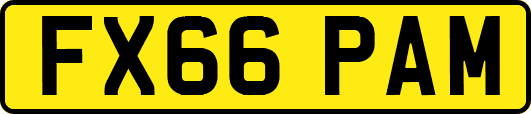 FX66PAM