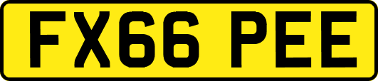 FX66PEE