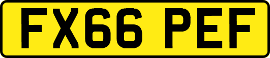 FX66PEF
