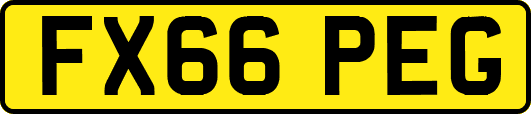 FX66PEG
