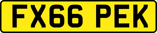 FX66PEK