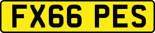 FX66PES