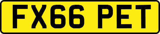 FX66PET