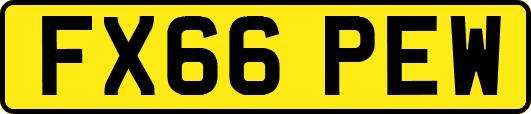 FX66PEW