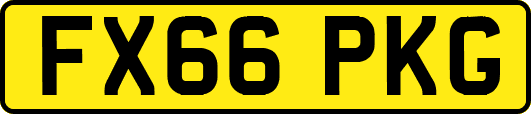 FX66PKG