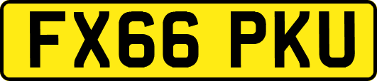 FX66PKU