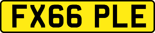 FX66PLE