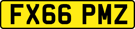 FX66PMZ