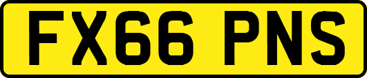 FX66PNS