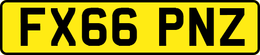 FX66PNZ