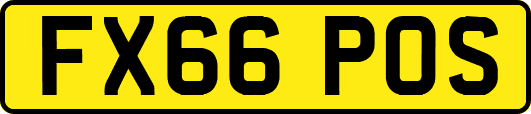 FX66POS
