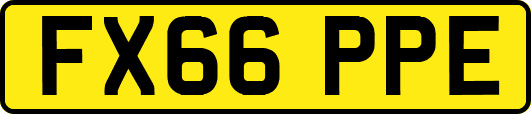 FX66PPE