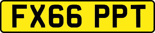 FX66PPT
