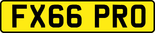 FX66PRO