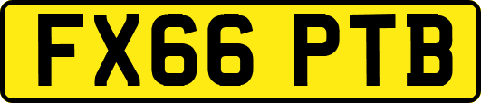 FX66PTB