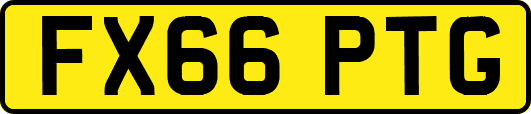 FX66PTG