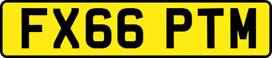 FX66PTM
