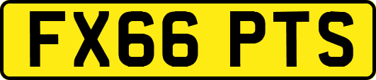 FX66PTS