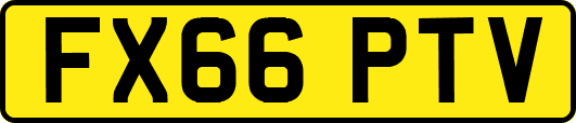 FX66PTV