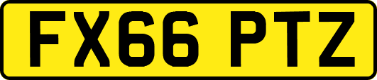 FX66PTZ