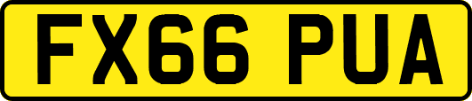 FX66PUA
