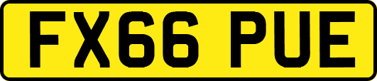 FX66PUE
