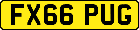 FX66PUG