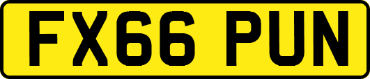 FX66PUN
