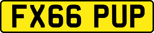 FX66PUP