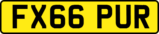 FX66PUR
