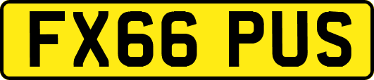 FX66PUS