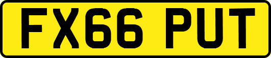 FX66PUT