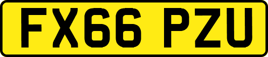 FX66PZU