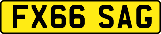 FX66SAG