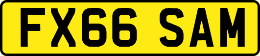 FX66SAM