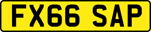 FX66SAP