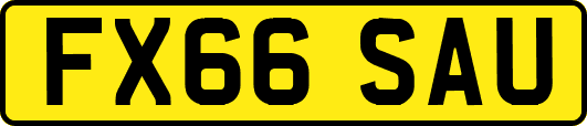 FX66SAU