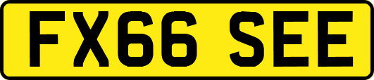 FX66SEE