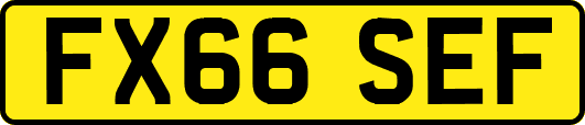 FX66SEF
