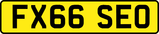 FX66SEO