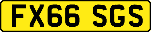 FX66SGS