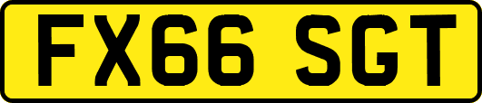 FX66SGT