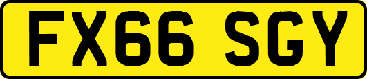 FX66SGY