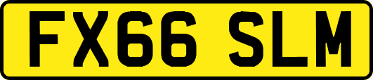 FX66SLM