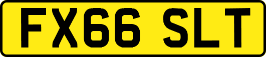 FX66SLT