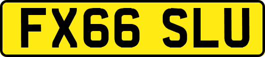 FX66SLU