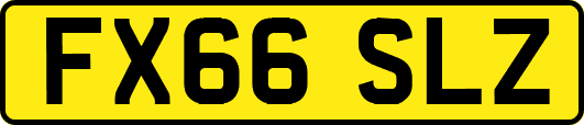 FX66SLZ