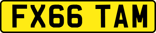 FX66TAM