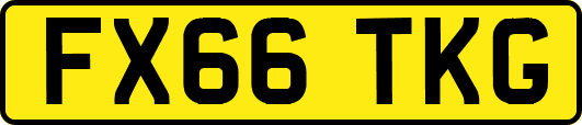 FX66TKG